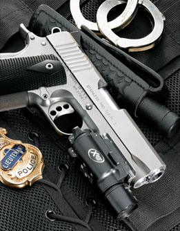 The Stainless Pro TLE/RL II .45 ACP is ideal for law enforcement or home defense. Standard features include night sights and frontstrap checkering.